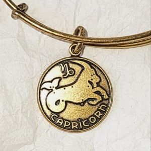 ALEX AND ANI CAPRICORN BANGLE BRACELET